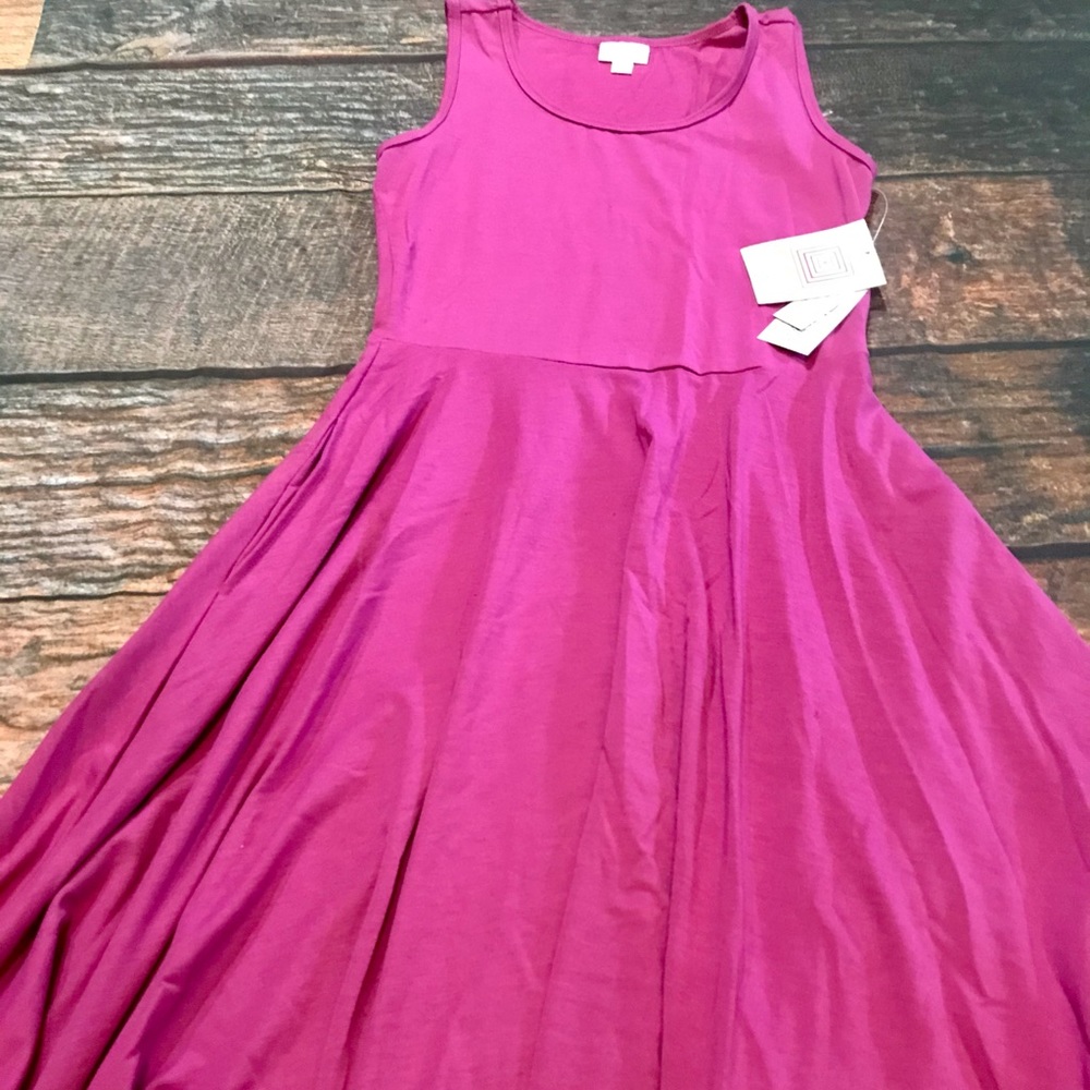 Lularoe Nicki Dress